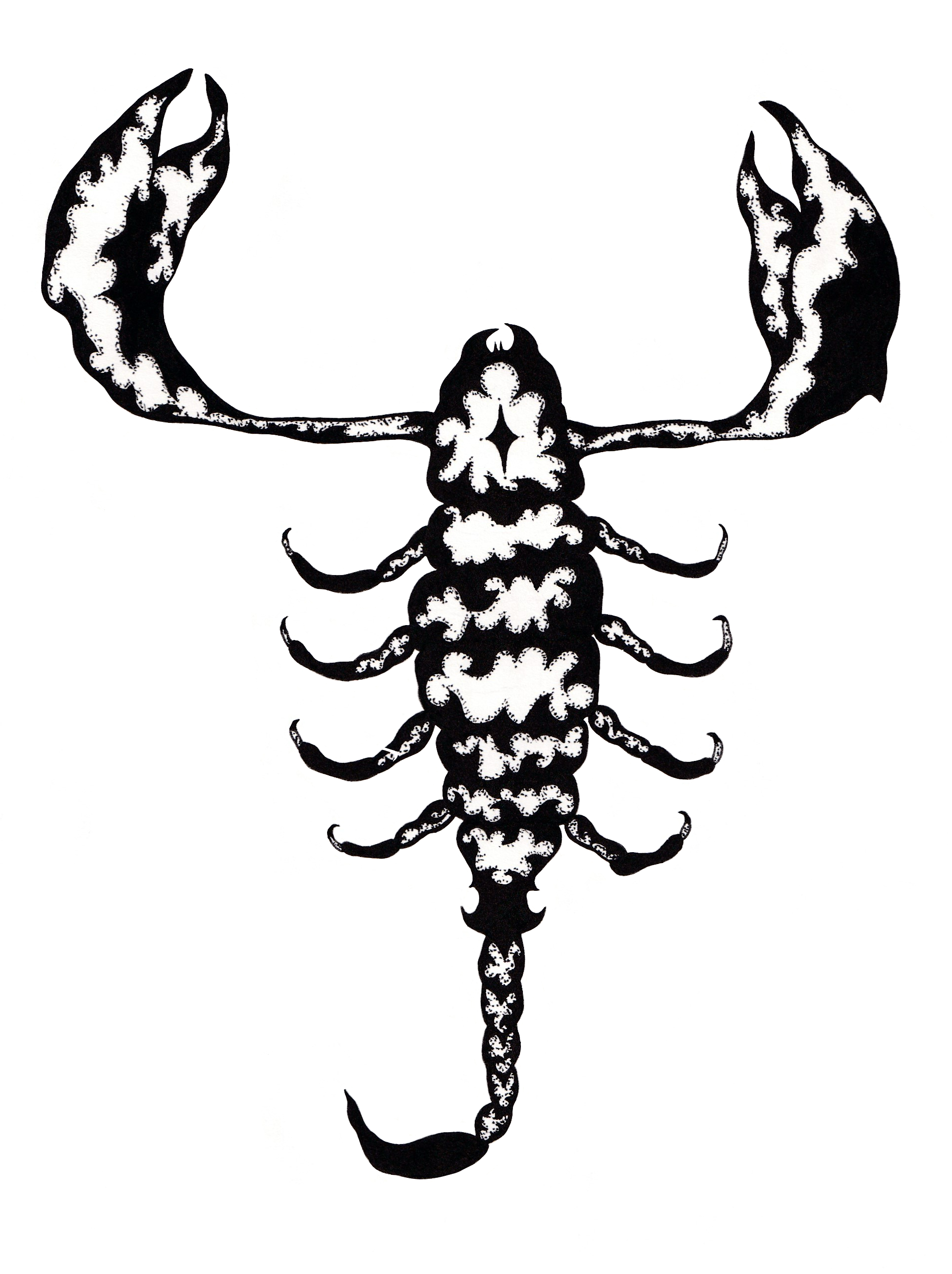 Scorpion Print