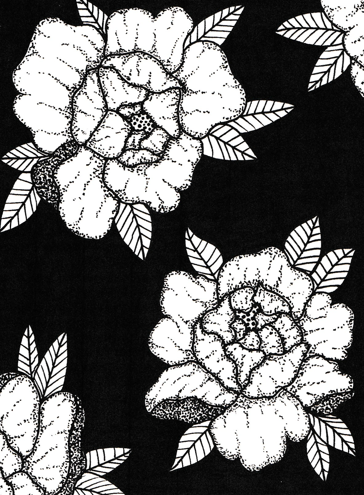 Floral Fine Point Print